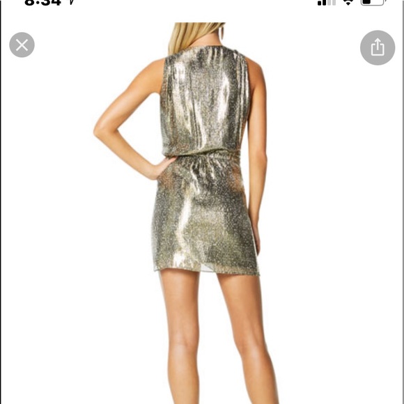 LIKE NEW!!!🌺 Ramy brook metlic dress - Picture 7 of 7